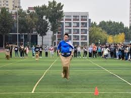 示做到低