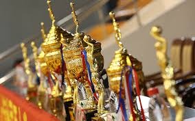 [羽毛球]蒋振邦／魏雅欣晋级混双决赛